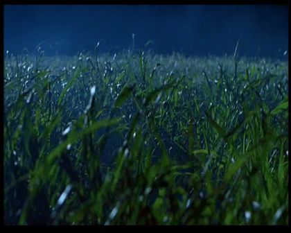 PDVD_1729.jpg