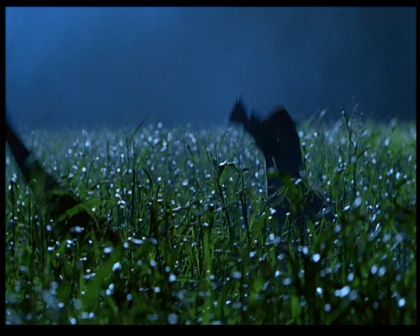 PDVD_1731.jpg
