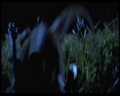 PDVD_1741.jpg