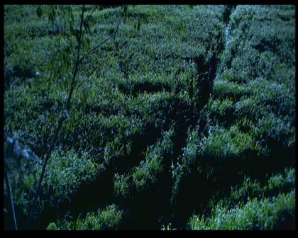PDVD_1745.jpg