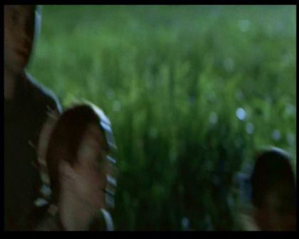 PDVD_1760.jpg