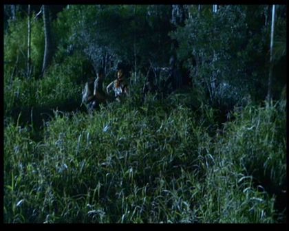 PDVD_1769.jpg