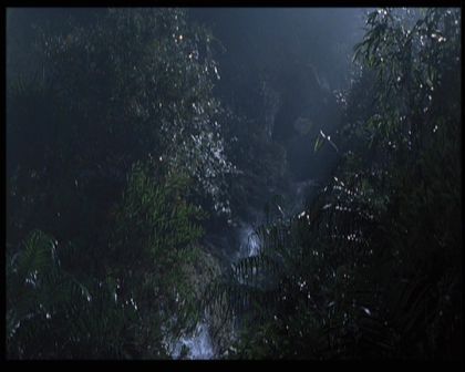 PDVD_1771.jpg