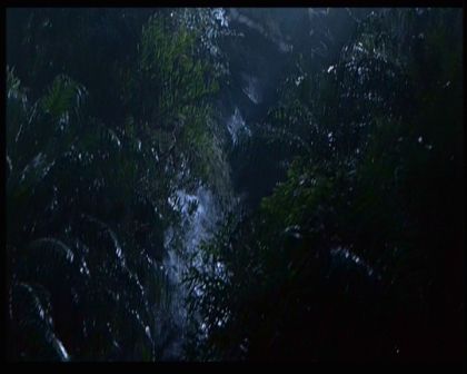 PDVD_1772.jpg