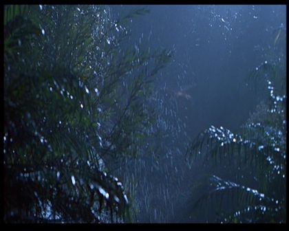 PDVD_1773.jpg