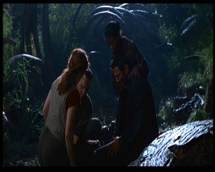 PDVD_1784.jpg