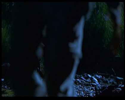 PDVD_1820.jpg