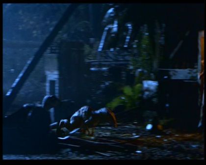 PDVD_1850.jpg