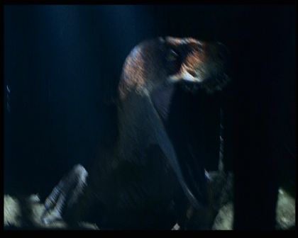 PDVD_1902.jpg