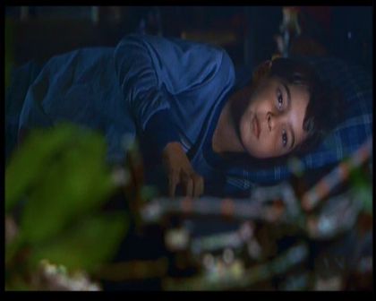 PDVD_2164.jpg