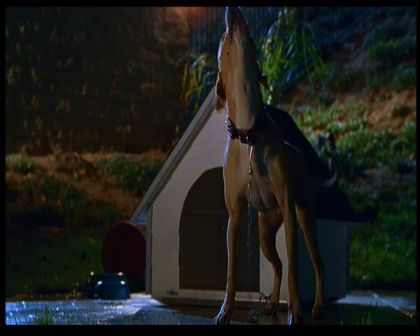 PDVD_2180.jpg