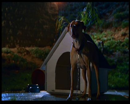PDVD_2181.jpg