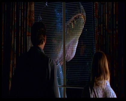 PDVD_2206.jpg