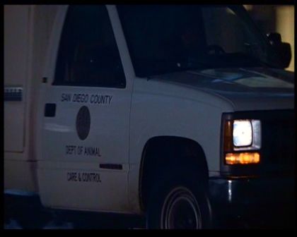 PDVD_2352.jpg