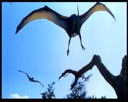 PDVD_2535.jpg