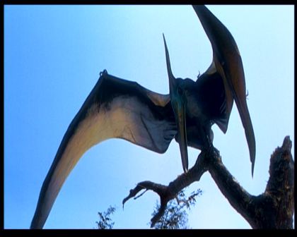 PDVD_2537.jpg