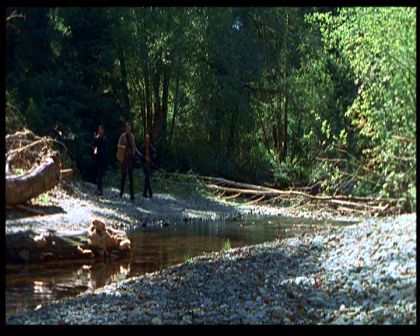 PDVD_322.jpg