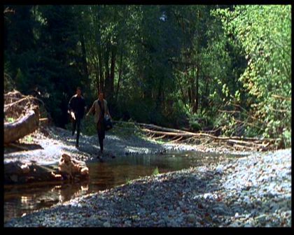 PDVD_323.jpg