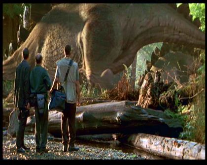 PDVD_340.jpg