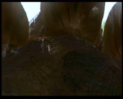 PDVD_344.jpg