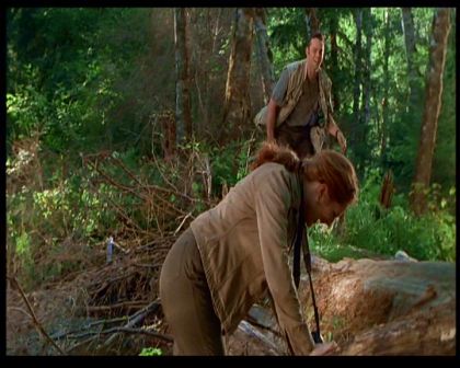 PDVD_362.jpg