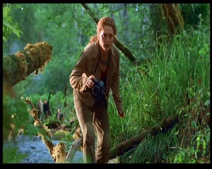PDVD_380.jpg