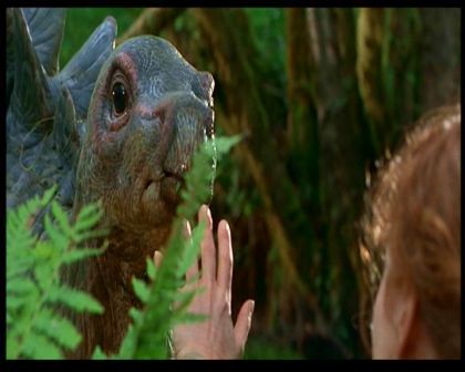 PDVD_390.jpg