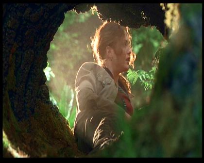 PDVD_440.jpg