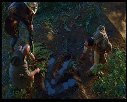 PDVD_671.jpg