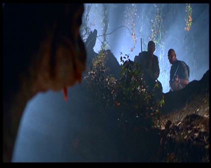 PDVD_708.jpg