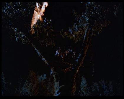 PDVD_797.jpg
