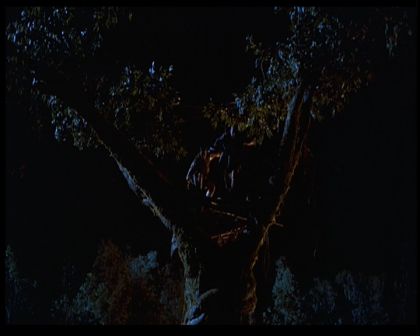 PDVD_798.jpg