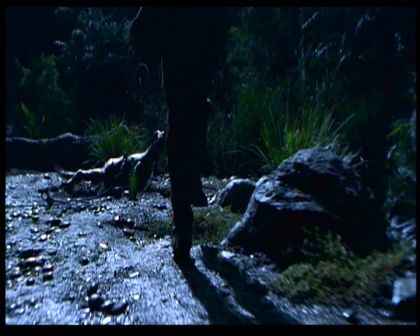 PDVD_806.jpg