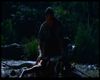 PDVD_810.jpg