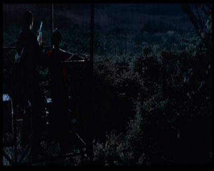 PDVD_980.jpg