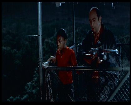 PDVD_983.jpg