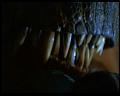 PDVD_1681