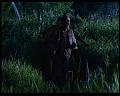 PDVD_1706