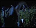 PDVD_1741
