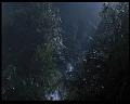PDVD_1771