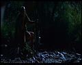 PDVD_1821