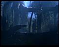 PDVD_1822