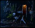 PDVD_1852