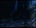 PDVD_1864