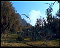 PDVD_2532
