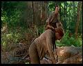 PDVD_362
