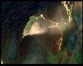 PDVD_433