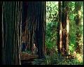 PDVD_448