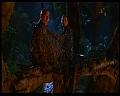 PDVD_795