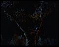 PDVD_799